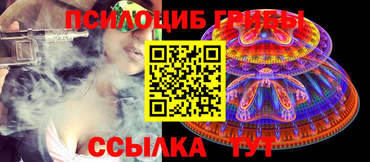 Псилоцибиновые грибы мицелий  Вход с VPN  Тобольск  Псилоцибиновые грибы Psilocybine cubensis 